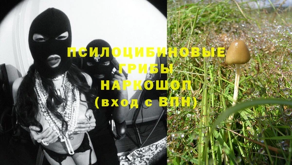 ECSTASY Михайловка