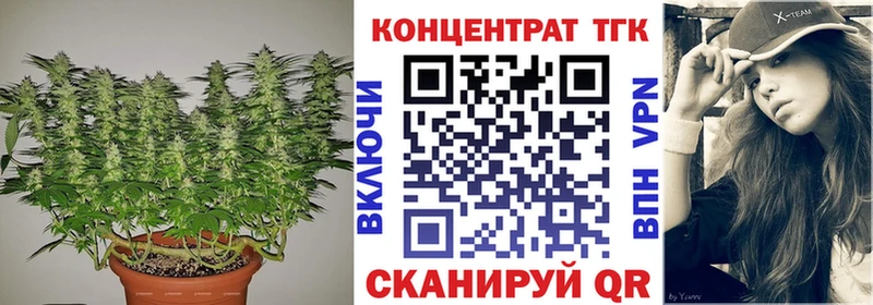 Купить где  Алексин  ТГК концентрат 