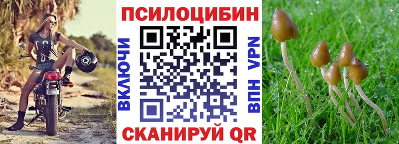 Купить закладки  Алексин  Галлюциногенные грибы мухоморы 