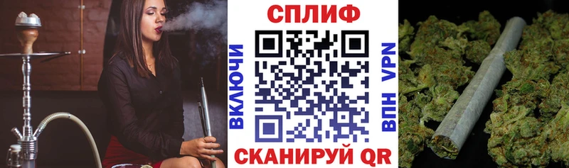 Купить где  Алексин  Каннабис индика 